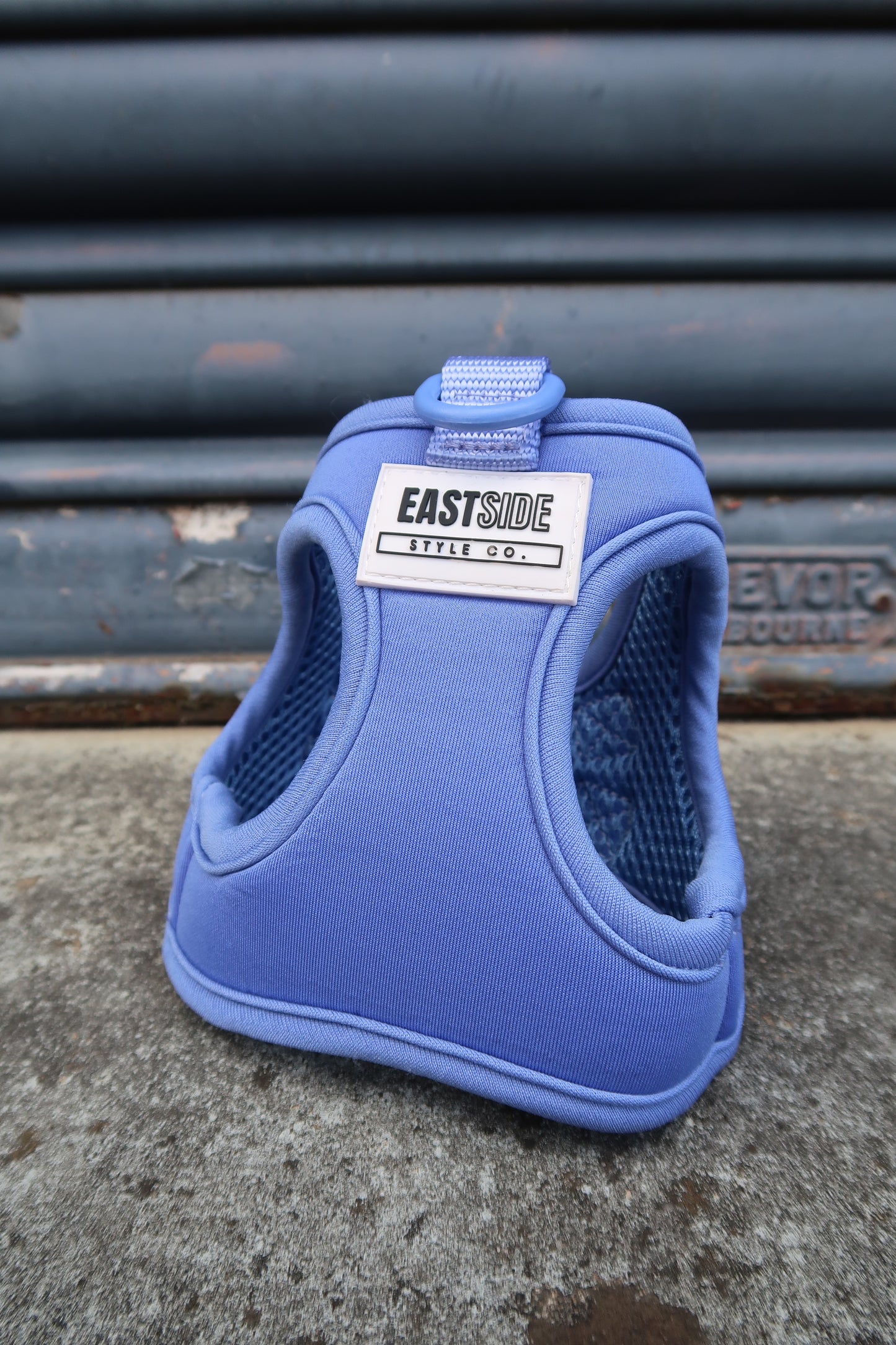 Step-in Harness