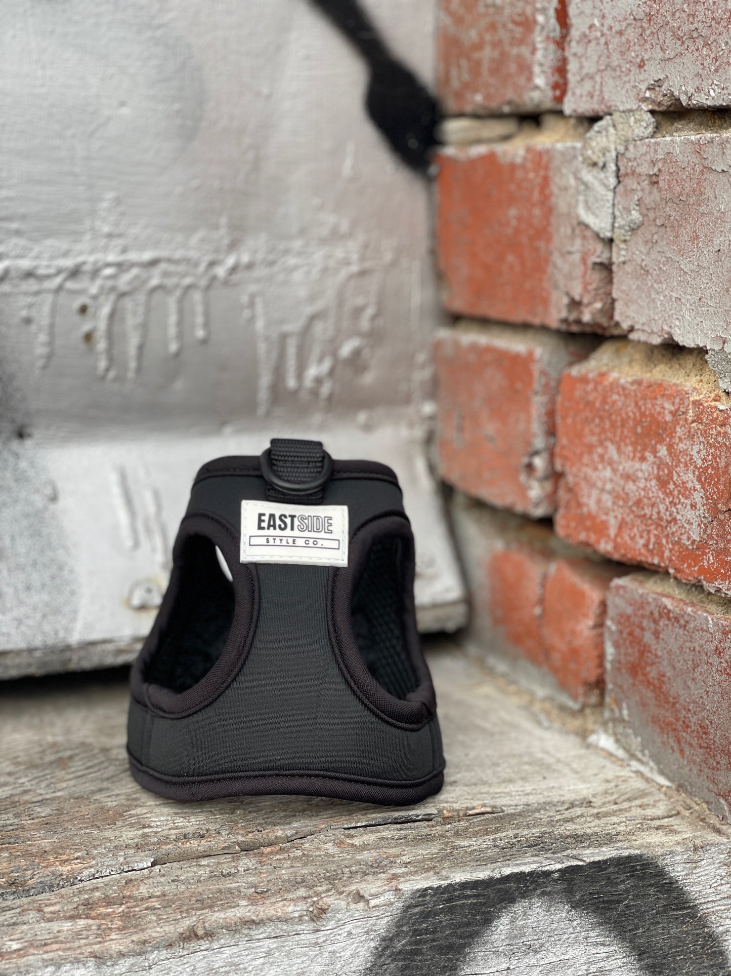 Step-in Harness